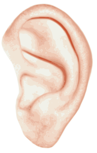 Telinga , kesehatan Telinga 