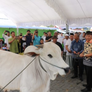 Wali Kota Tomohon menyerahkan hewan kurban kepada umat Masjid Nurul Iman Kampung Jawa