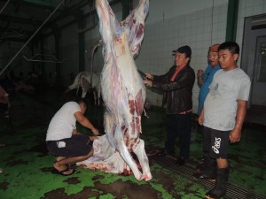 Kepala Distanak Sulut, Arie Bororing, ketika melakukan sidak di rumah pemotongan hewan di Bailang, Manado