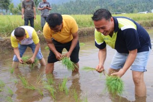 Wali Kota menanam padi usai finish Rally Wisata