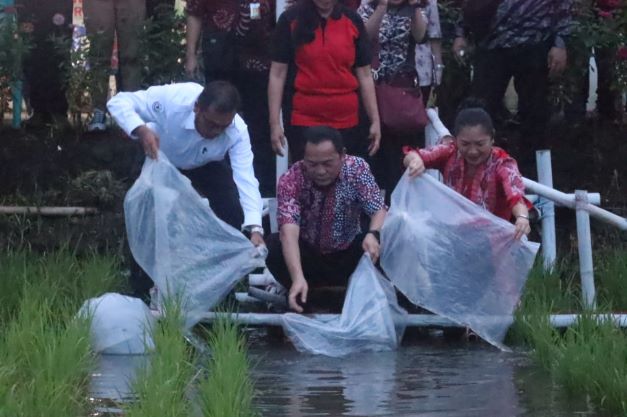 Wali Kota Tomohon, Caroll Joram Azarias Senduk, bibit padi