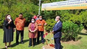 Presiden Kelima RI, Megawati Soekarnoputri, Provinsi Jeju, Gubernur Sulawesi Utara, Olly Dondokambey, penanaman pohon Magnolia, 