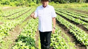 Gubernur Sulawesi Utara, Olly Dondokambey, GMIM Menanam,