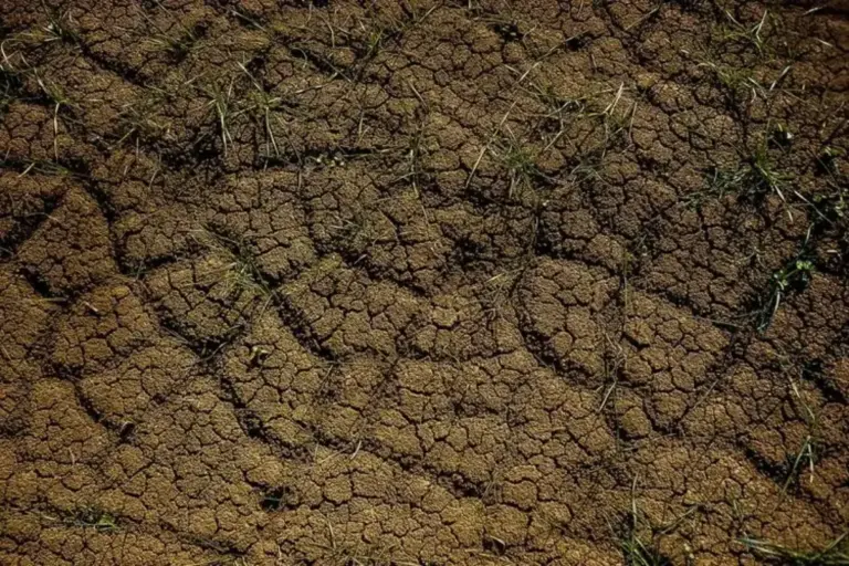 BPBD Gencarkan Pemantauan, 7 Wilayah Jaksel dan 2 Jaktim Rawan Longsor