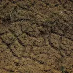 Jaksel–Jaktim Masuk Zona Rawan Longsor, Berikut Daftar Wilayahnya