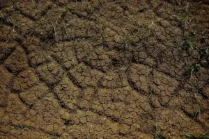 Jaksel–Jaktim Masuk Zona Rawan Longsor, Berikut Daftar Wilayahnya