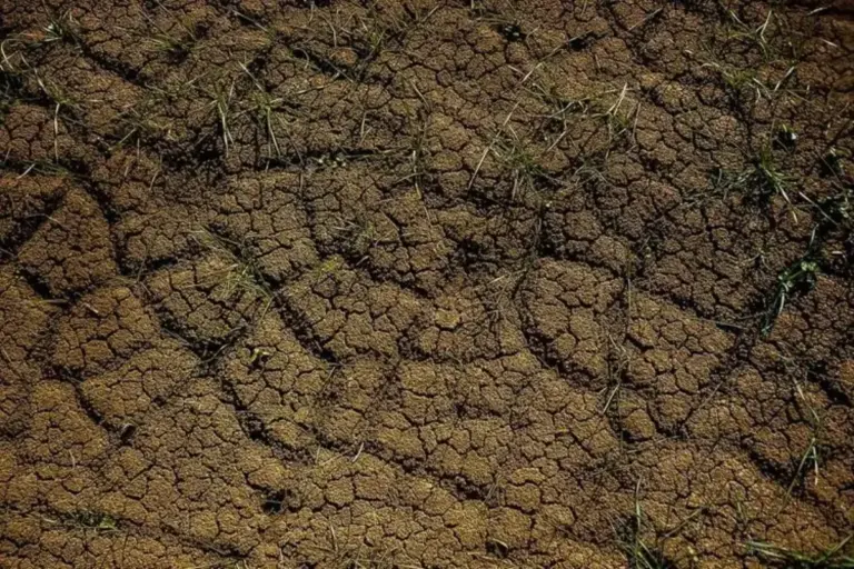Jaksel–Jaktim Masuk Zona Rawan Longsor, Berikut Daftar Wilayahnya