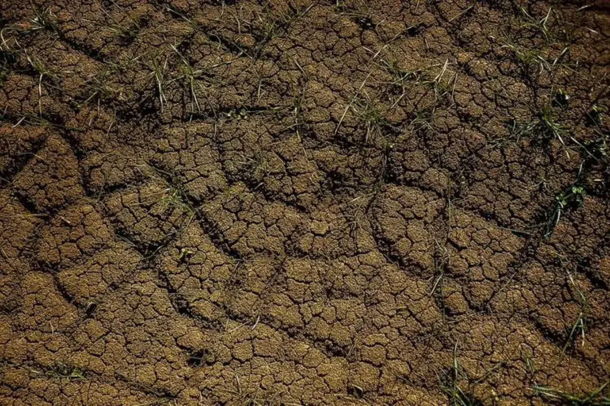Jaksel–Jaktim Masuk Zona Rawan Longsor, Berikut Daftar Wilayahnya