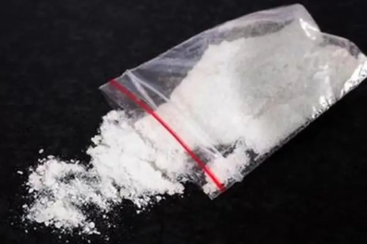 Dikira Maling, 2 Pria di Banyuwangi Ternyata Bawa 30 Paket Sabu Siap Edar