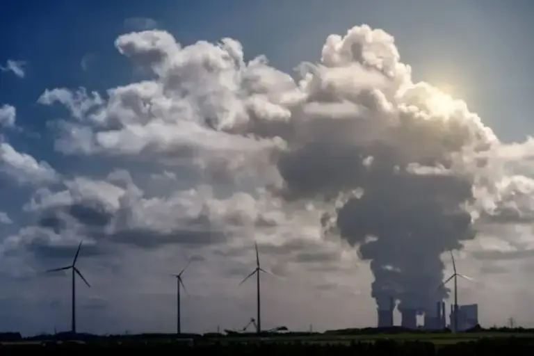 Terlalu Fokus Kurangi Emisi Berisiko Ancam Biodiversitas, Kok Bisa?