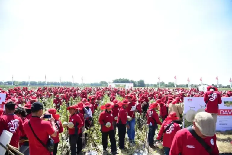 Industri Holtikultura RI Hadapi Tantangan Iklim dan Kenaikan Biaya Produksi