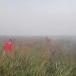 OKI Siaga Darurat Karhutla hingga Desember 2026, Ratusan Personel Perketat Patroli