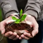 Gaya Hidup Ramah Lingkungan Masih Mahal