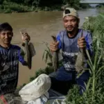 Dosen Perikanan Undip Ungkap Mengapa Ikan Sapu-sapu di Sungai Amazon Bisa Dikonsumsi Sementara di Indonesia Tidak