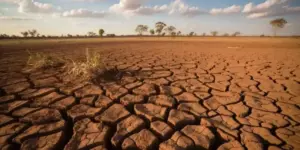 El Nino Ancam 14 Kecamatan di Bandung Barat, Risiko Kekeringan di 2026