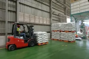 Cadangan Beras Pemerintah 4,9 Juta Ton, Bulog Sebut Rekor Tertinggi