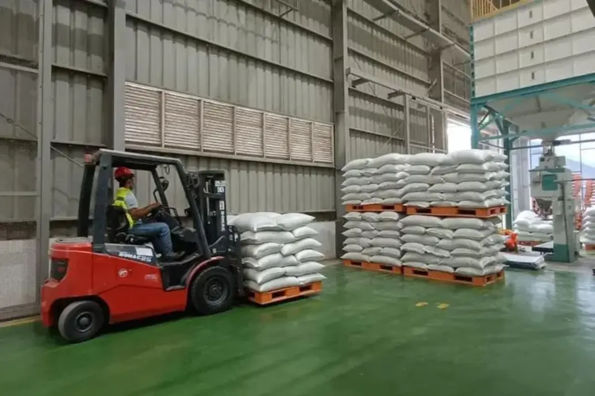 Cadangan Beras Pemerintah 4,9 Juta Ton, Bulog Sebut Rekor Tertinggi