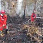 Daftar Wilayah Rawan Karhutla di Jateng 2026, Blora hingga Wonogiri Masuk Zona Merah