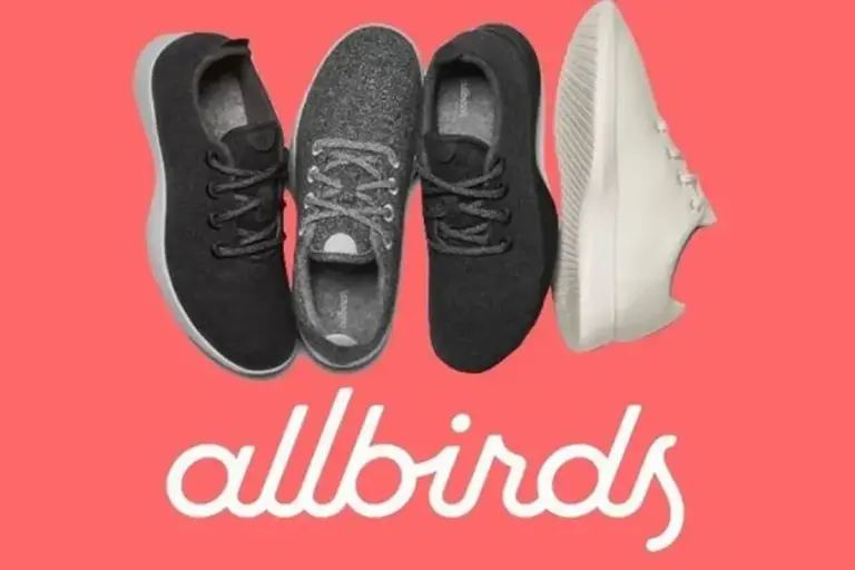 Dulu Jual Sepatu Kini Jadi Perusahaan AI, Saham Allbirds Melejit 420 Persen