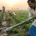 Ilmuwan India Ciptakan Tongkat Pintar Deteksi Ular untuk Petani, Pemerintah Dukung