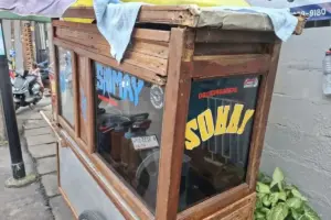 Ada yang Pakai Ikan Sapu-sapu untuk Siomay, Simak Bahaya yang Mengintai