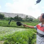 Puluhan Petani di Jember Gagal Panen, Diduga Irigasi Sawah Tercemar TPA Pakusari