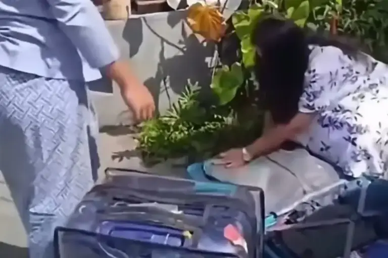 Viral Turis India Curi Barang Hotel di Ubud Bali, Tak Berlanjut ke Proses Hukum