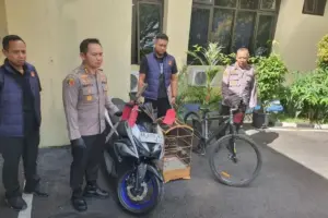 Oknum Satpol PP Gunungkidul Ditangkap, Curi Burung hingga Sepeda dan Rusak CCTV