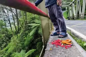 Viral Aksi Tabur Bunga di Jembatan Cangar, Bentuk Empati atau Bahayakan Pengendara?