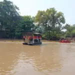 Kali Bekasi Jadi “Sarang” Ikan Sapu-sapu, Penangkapan Massal Juni 2026