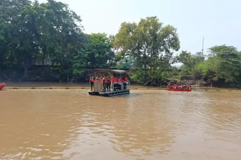 Kali Bekasi Jadi “Sarang” Ikan Sapu-sapu, Penangkapan Massal Juni 2026