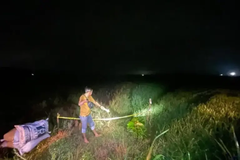 Petani di Blora Ditemukan Meninggal di Sawah, Tersengat Listrik Jebakan Tikus