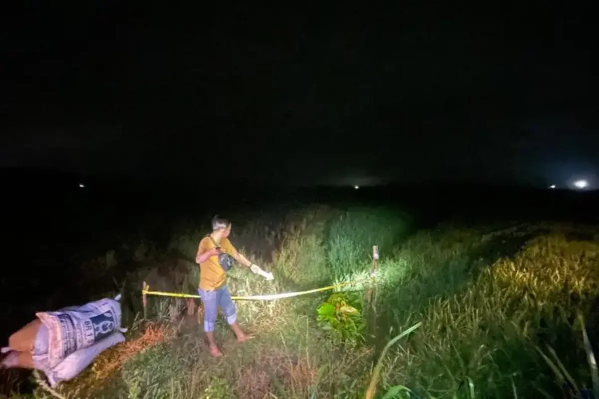 Petani di Blora Ditemukan Meninggal di Sawah, Tersengat Listrik Jebakan Tikus