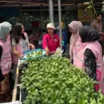 Tularkan Semangat Kartini, Srikandi Movement PLN Berdayakan 40.000 Jiwa di 140 Lokasi