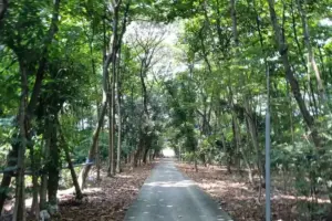 Asrinya Hutan Kota Rawa Malang Jakut, tapi Akses Jalan Sulit