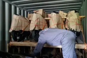 Polda Jateng Bongkar Penyelundupan Kendaraan Ilegal ke Timor Leste, Gudang Ada di Klaten