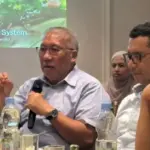 Jaga Target Program MBG, Konsumsi Sayur di RI Harus Naik 2 Kali Lipat